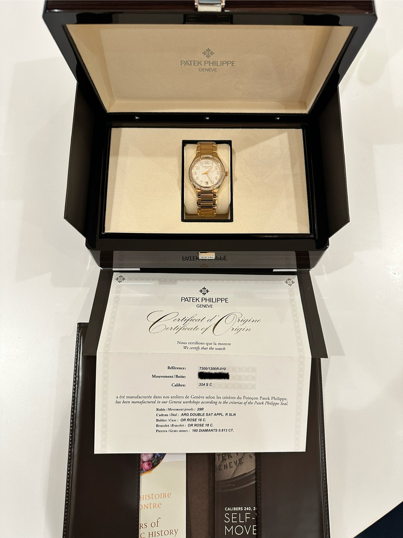 Patek Philippe - Patek Philippe Twenty~4 Silver Dial - Juwelier Spliedt