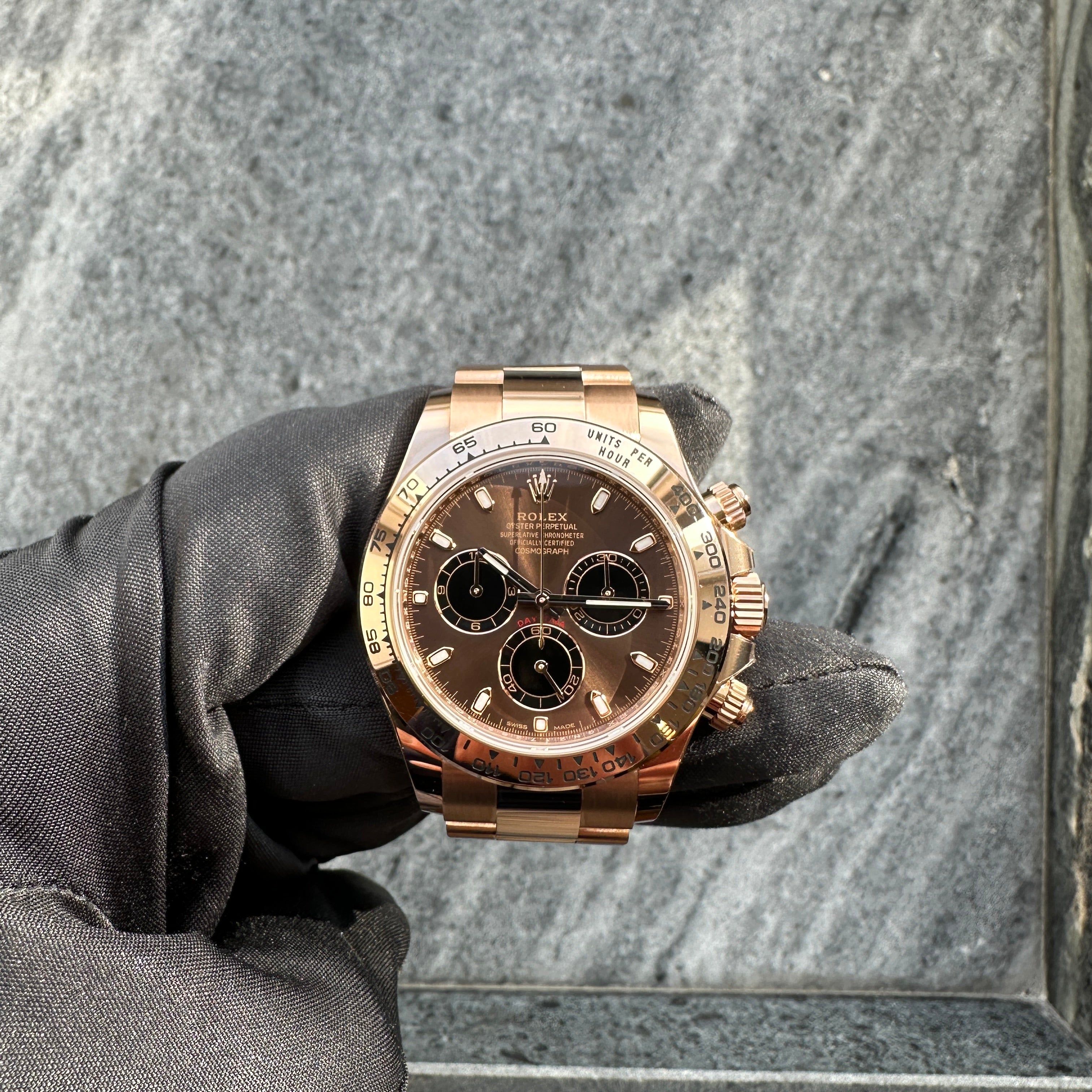 Daytona Everose - Gold