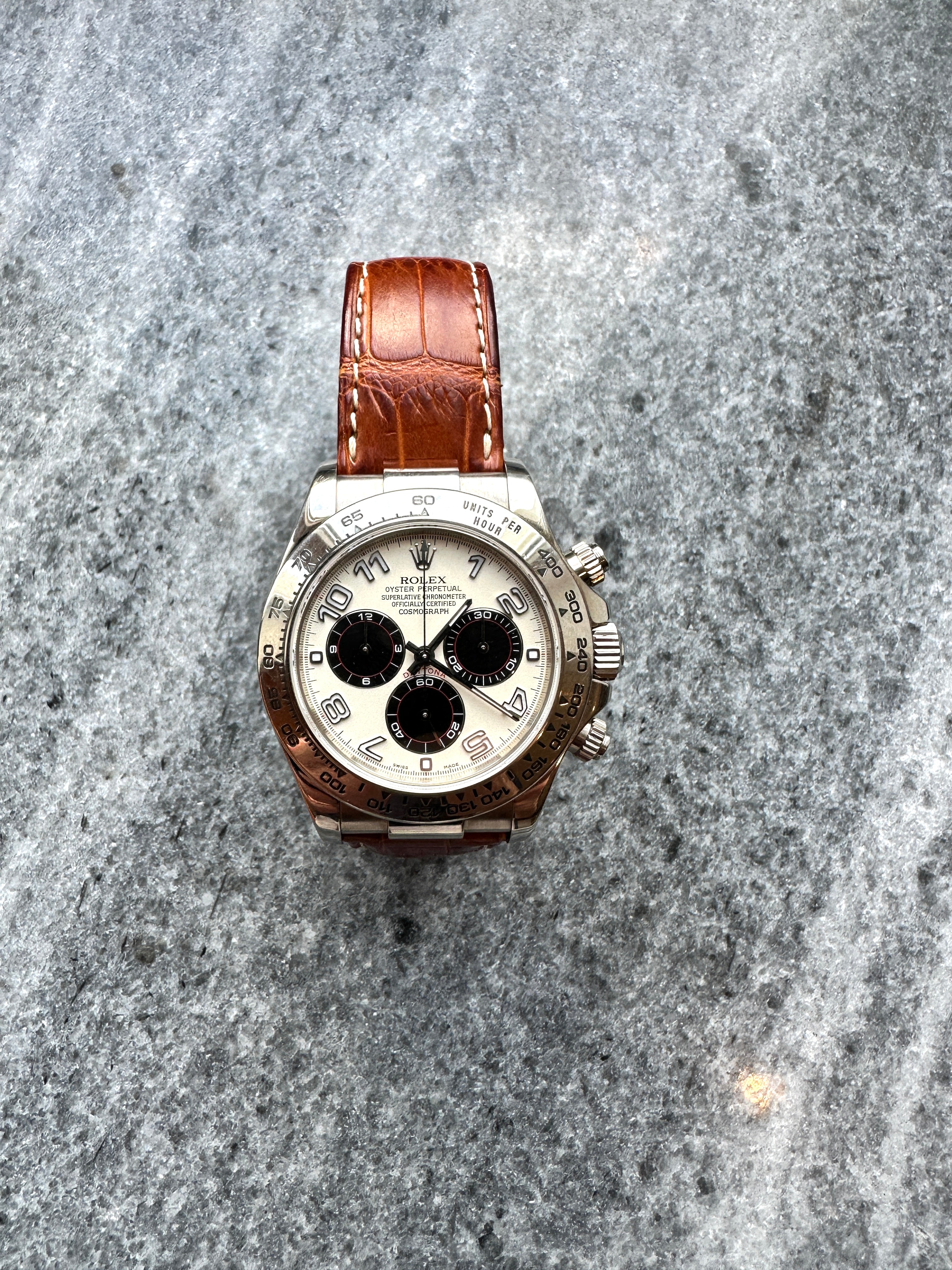 Rolex Daytona Panda Racing Dial aus Weißgold mit braunem Kroko-Lederarmband auf grauem Untergrund