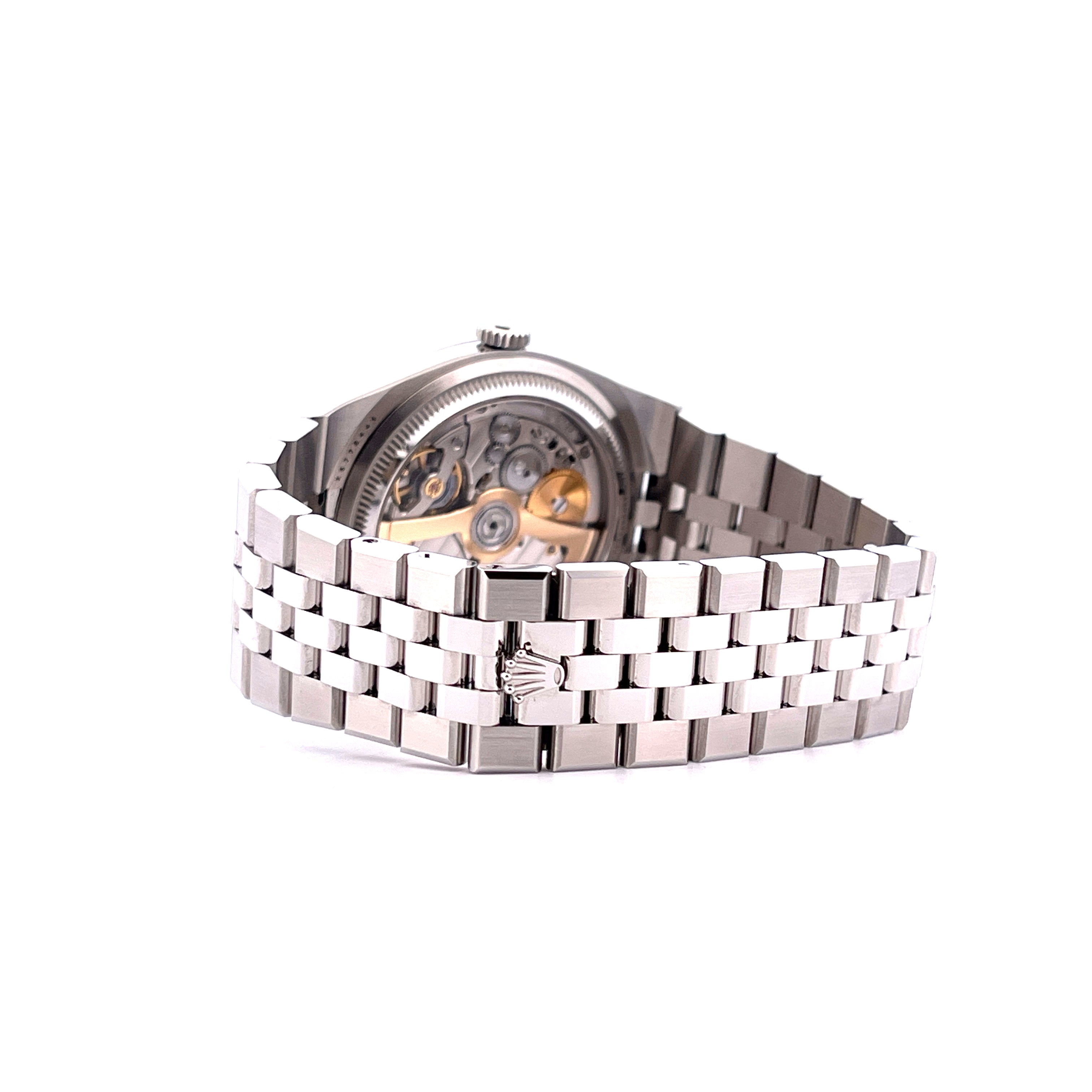 Land-Dweller 40 / premium Condition / 2025