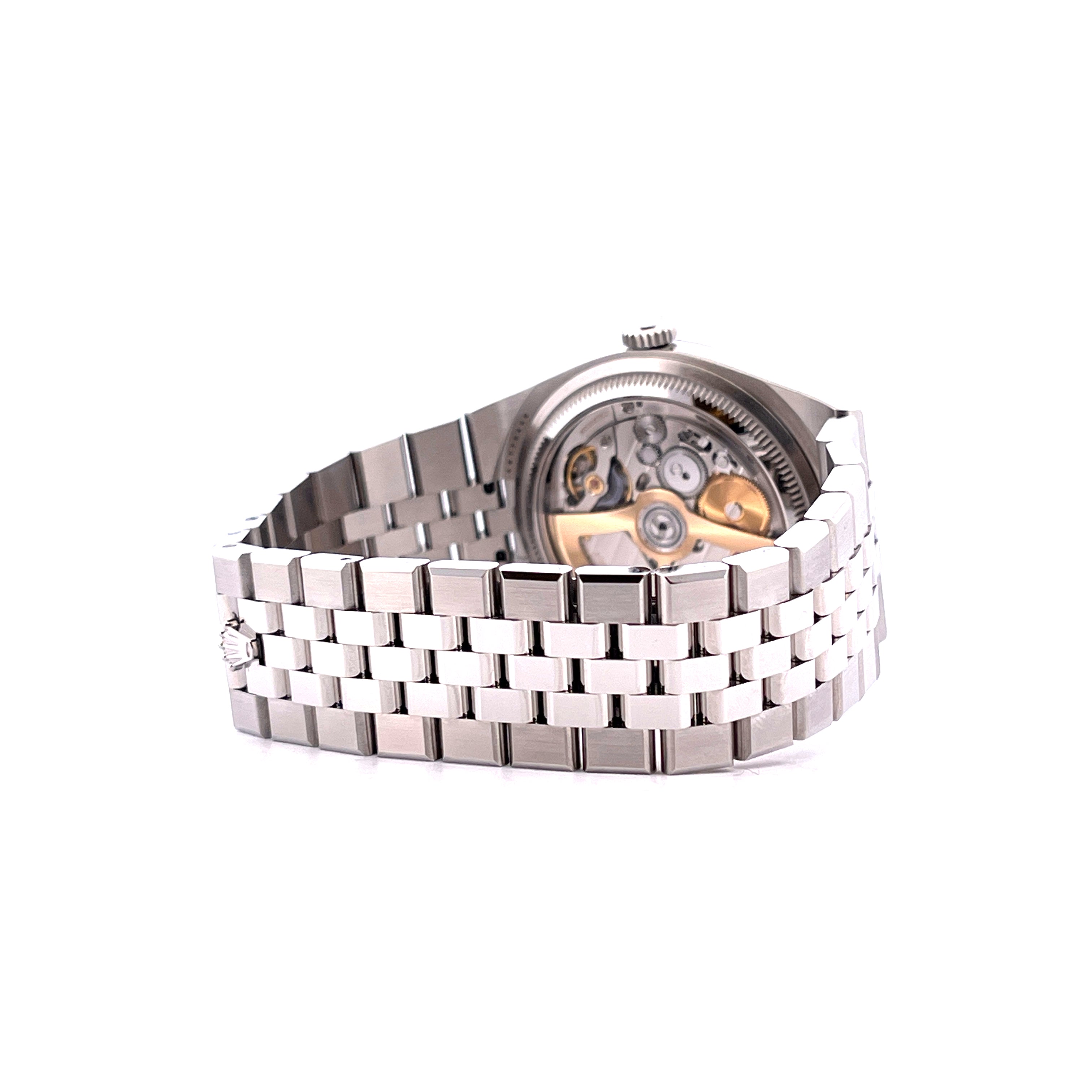 Land-Dweller 40 / premium Condition / 2025