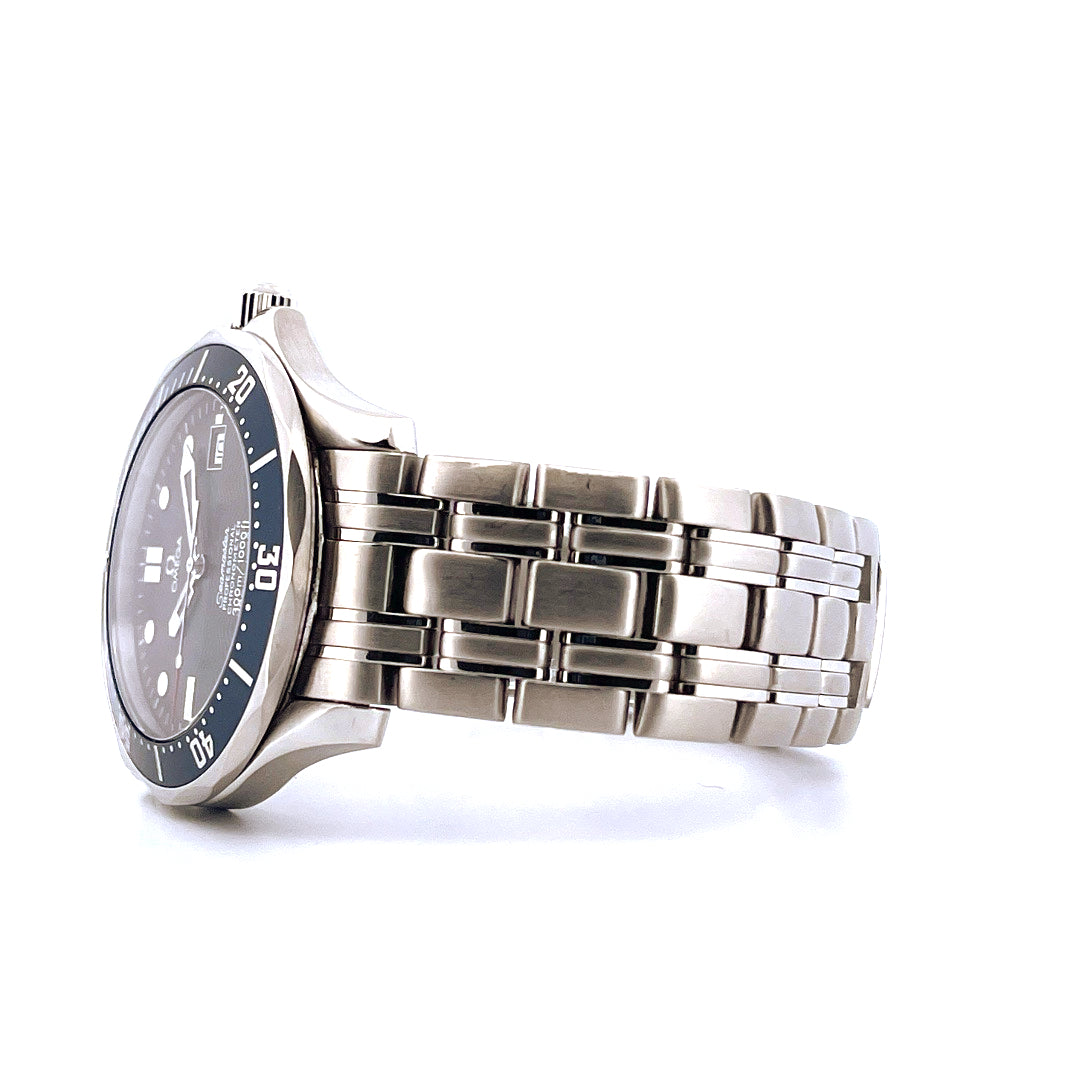 Omega - Seamaster / Service 2010 (1999) - [product_sku]