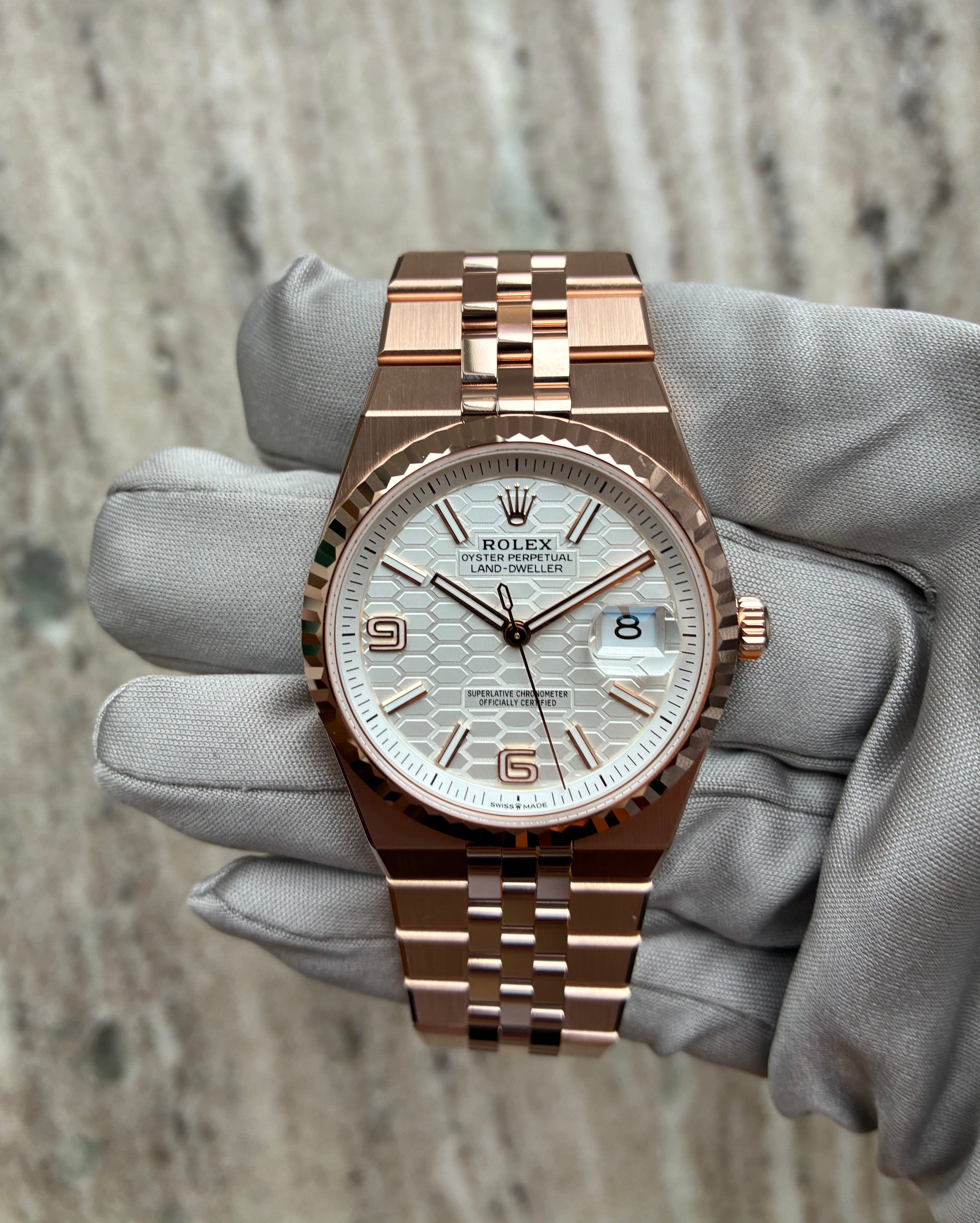 Land-Dweller 36 / Roségold / ungetragen / (Dezember 2025)